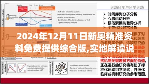 2024-2025新奥资料免费精准051|全面释义解释落实