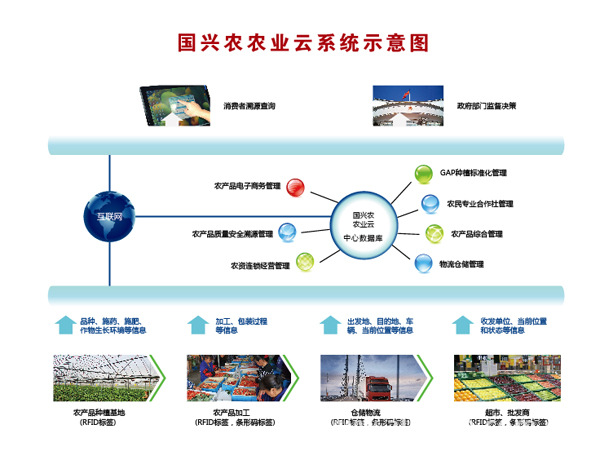 广东国兴农现代农业发展有限公司，探索现代农业的卓越之路