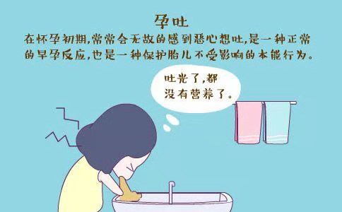 关于孕妇五个月吐的深刻体验