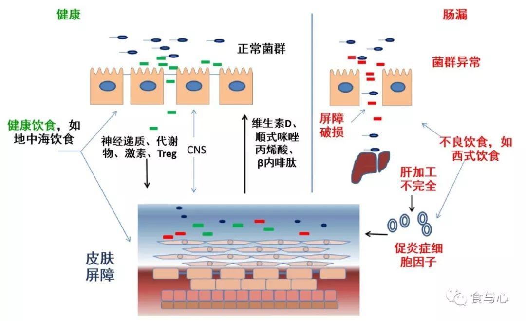 关于十一个月宝宝湿疹的探讨