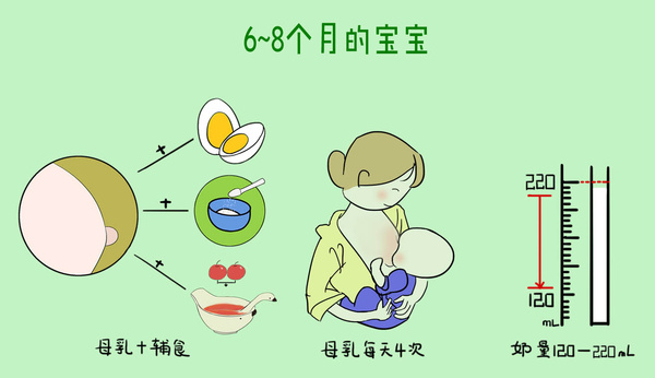 八个月的宝宝正处于生长发育的关键期，除了基本的母乳或辅食外，水果也是他们摄取营养的重要来源。接下来，我们将详细介绍八个月的宝宝适合吃哪些水果。