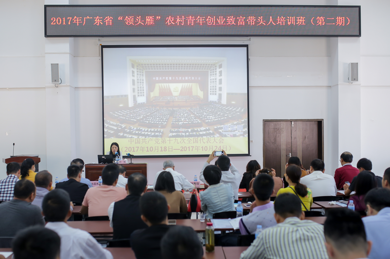 广东省村民委员会在推动乡村发展中的重要作用