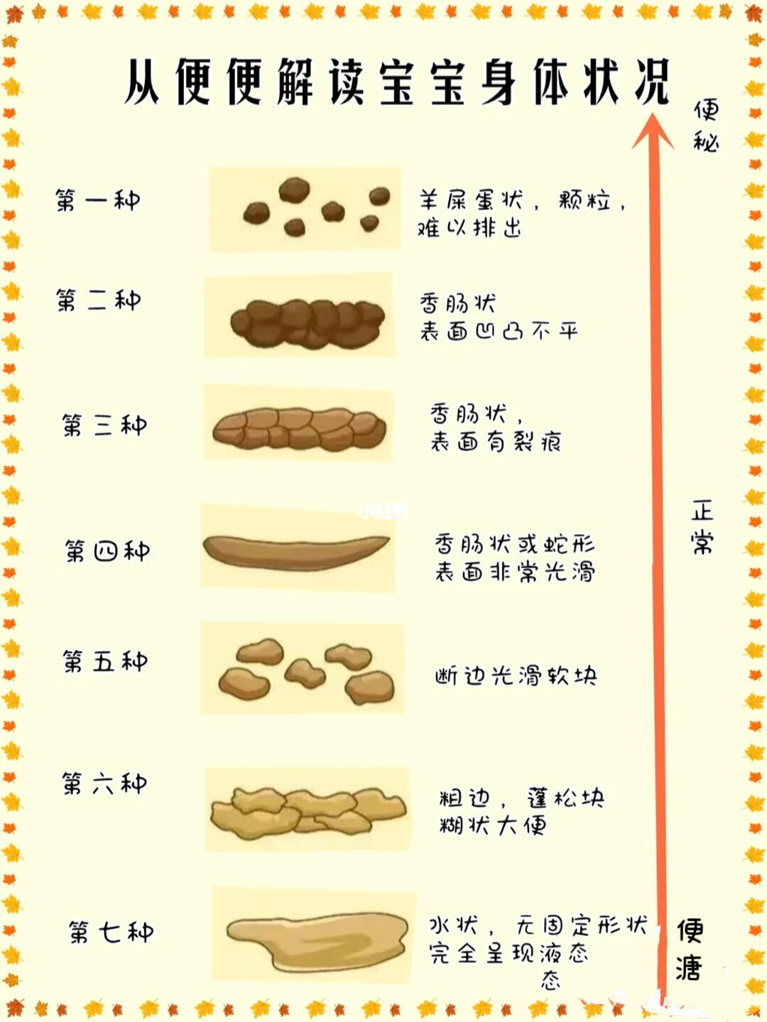 六个月宝宝大便的奥秘