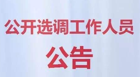 关于广东省公务员遴选公告的分析与解读