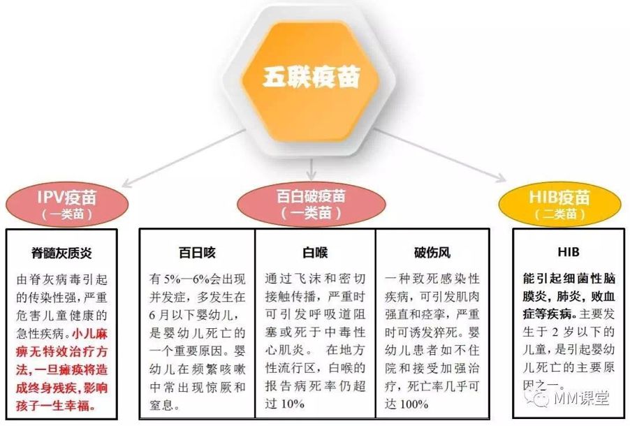 五联疫苗，宝宝健康的重要守护者