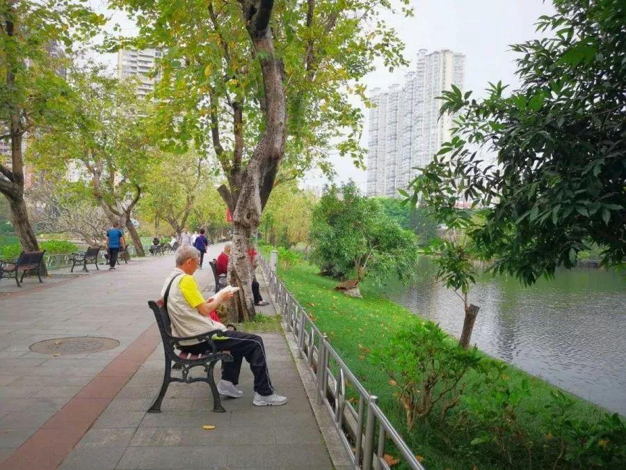 东山市，粤地明珠的韵味与风采