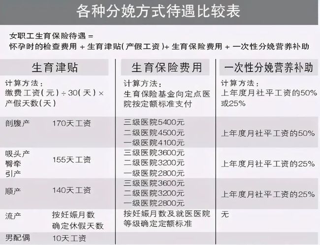 关于生育险一个月多少钱的探讨